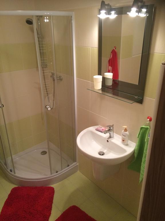 Apartment Fiala オロモウツ 部屋 写真