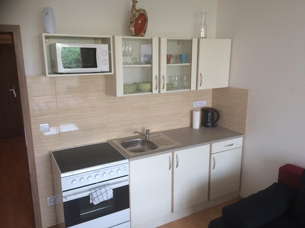Apartment Fiala オロモウツ 部屋 写真